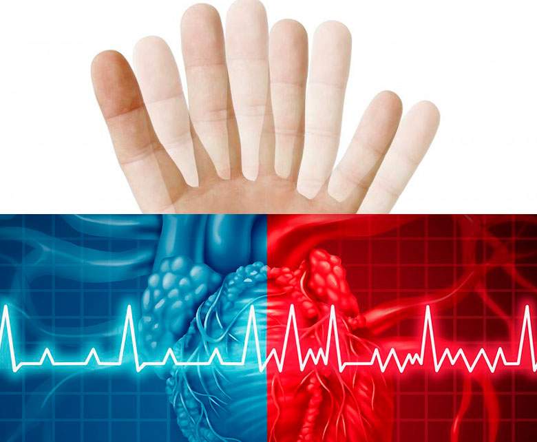 силденафил совместим с алкоголем силденафил совместим с алкоголем