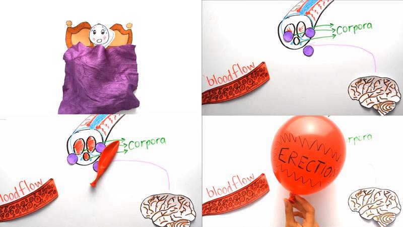 зачем пить виагру зачем пить виагру