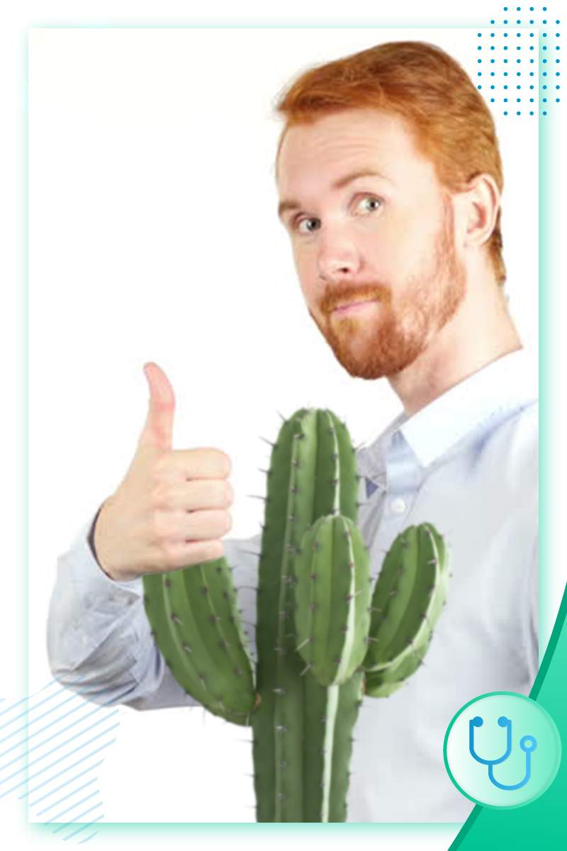 лучшее возбуждающее средство для мужчин аптека россия лучшее возбуждающее средство для мужчин аптека россия