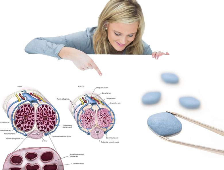 почему во время секса пропадает эрекция почему во время секса пропадает эрекция