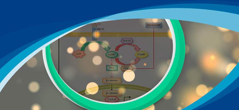 Дженерики Левитры Дженерики Левитры